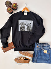 The Curious Hereford Pullover